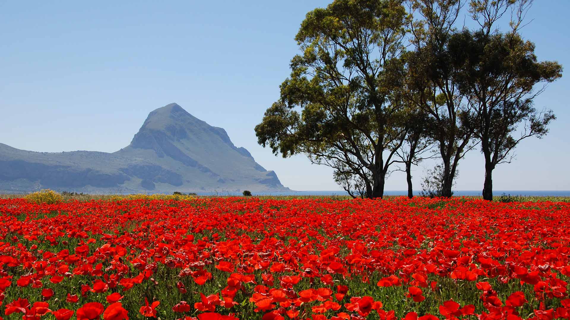 La Dama B&B Macari a  San Vito Lo Capo