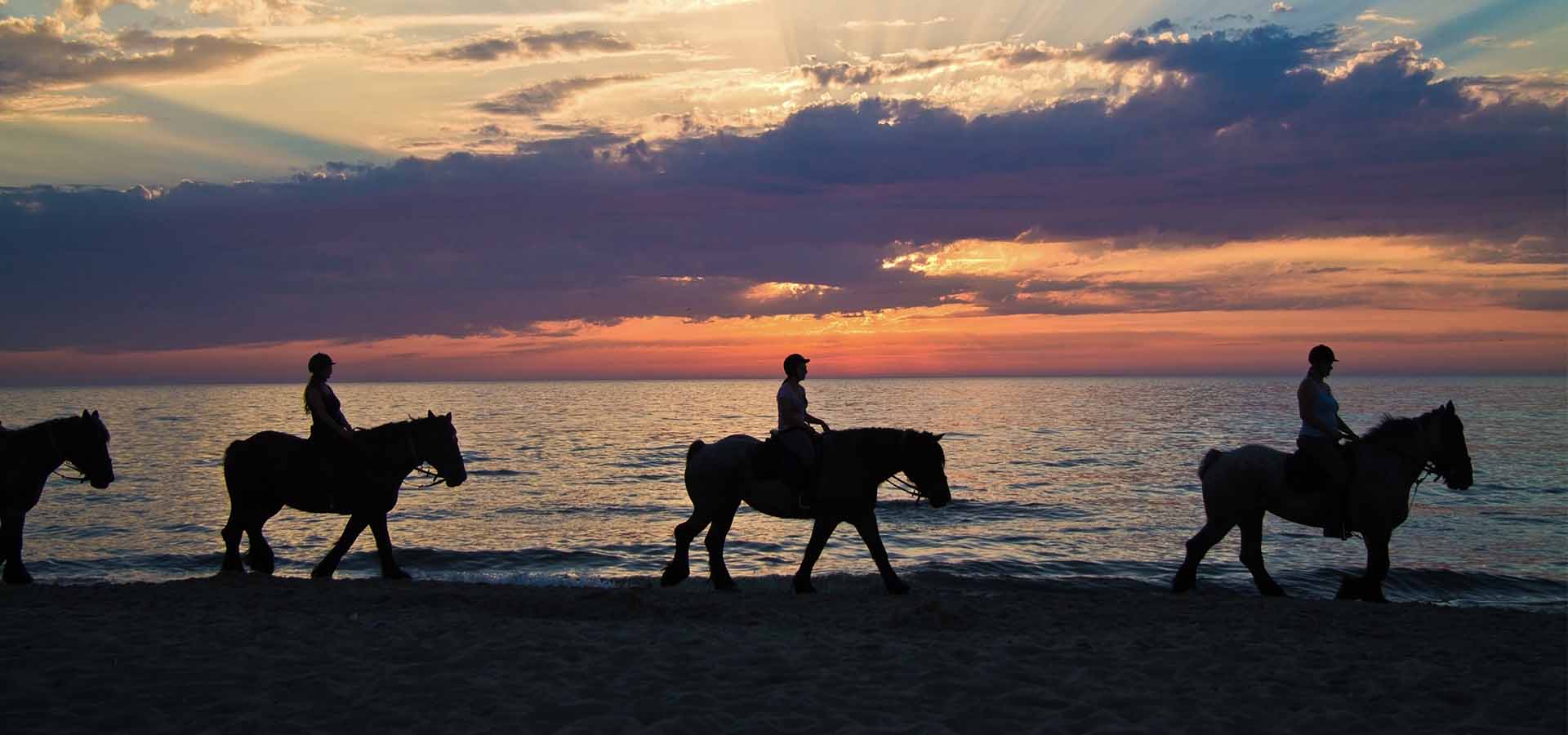 Passeggiate a cavallo - La Dama B&B Macari
